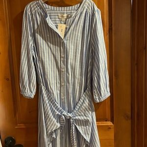 Evereve dress
